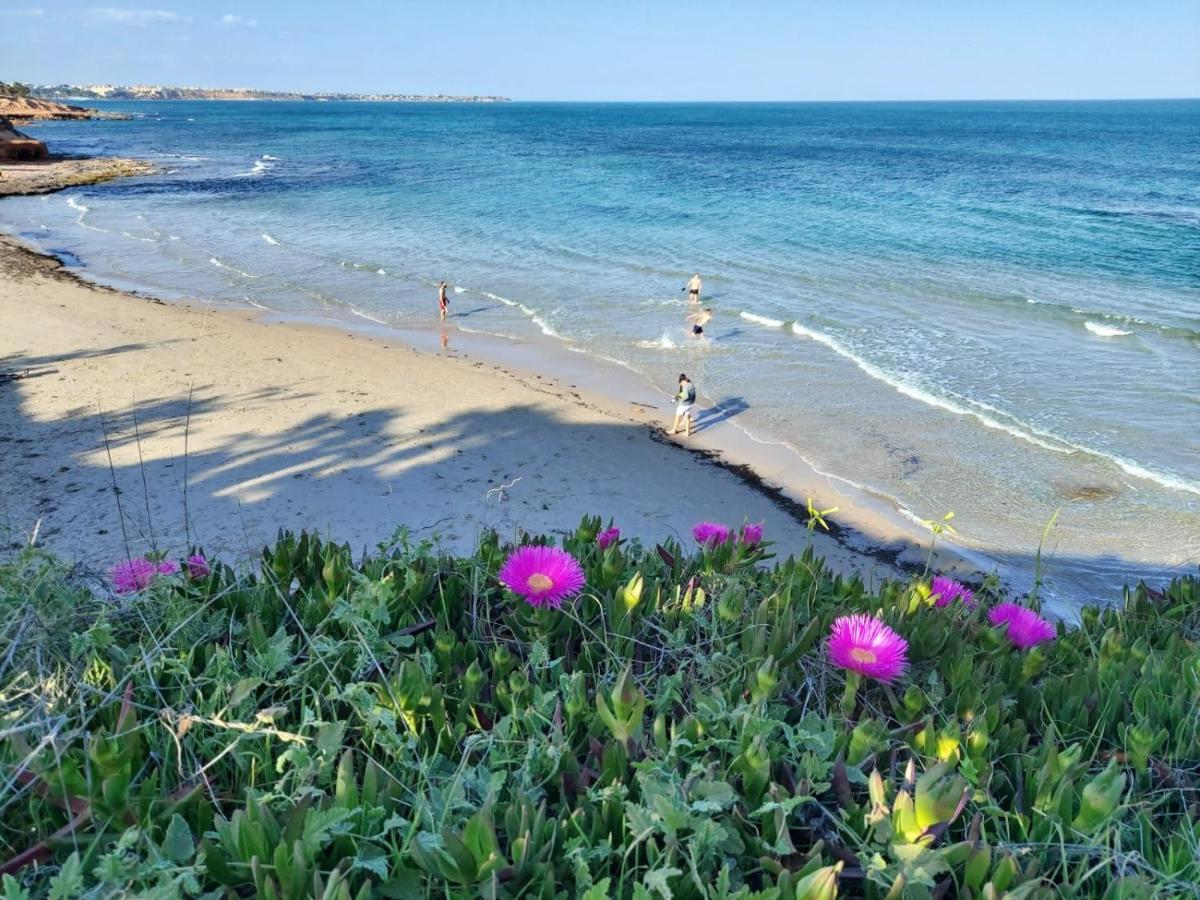 El Apartamento De Papa - Mil Palmeras Dehesa de Campoamor  Kültér fotó