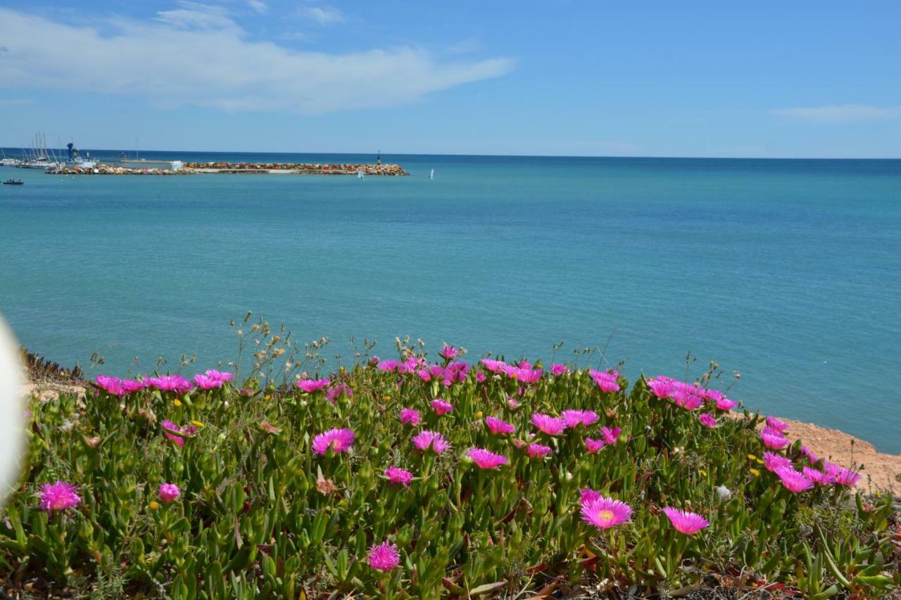 El Apartamento De Papa - Mil Palmeras Dehesa de Campoamor  Kültér fotó